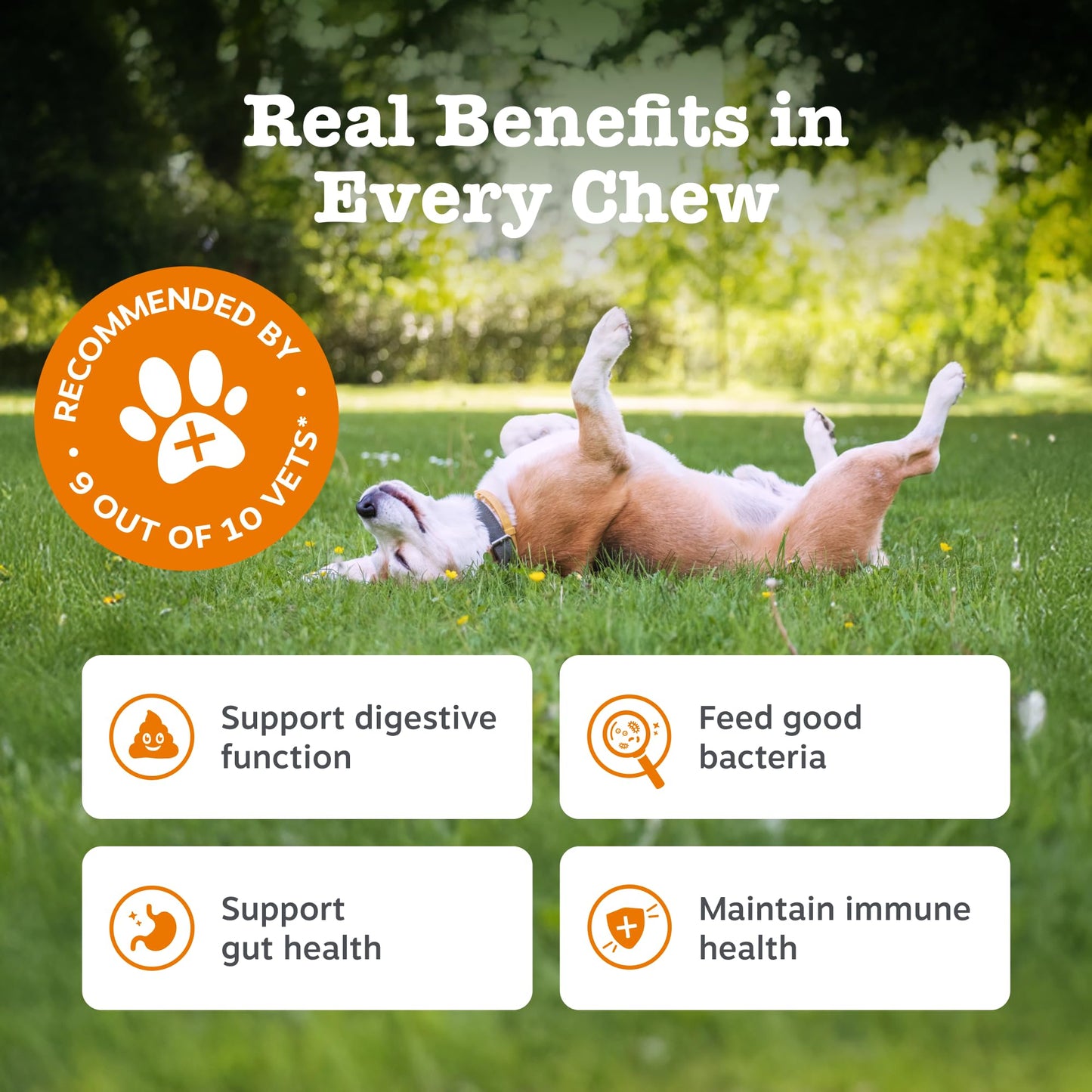 Zesty Paws Probiotic Bites for Dogs – Digestive Health Supplement