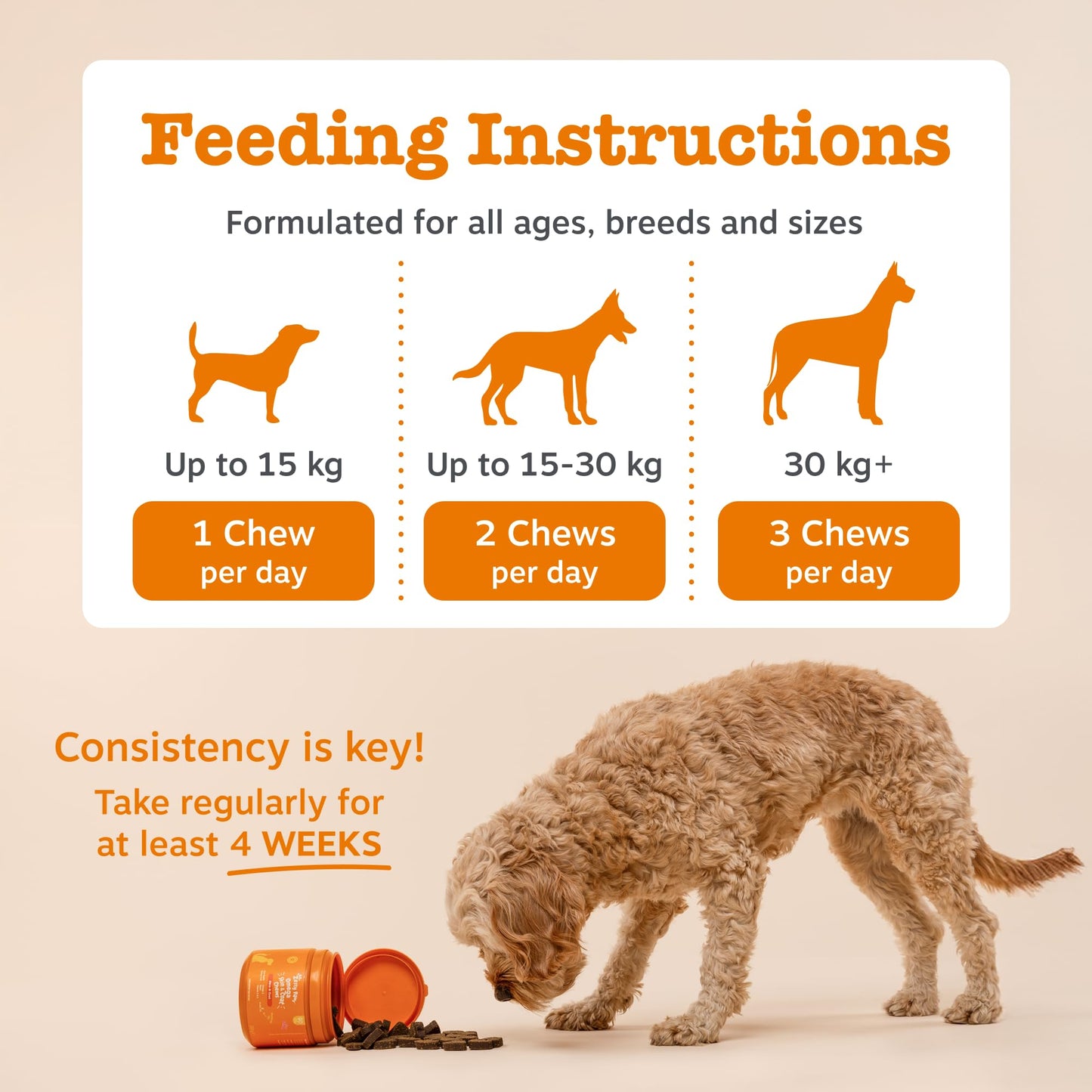 Zesty Paws Probiotic Bites for Dogs – Digestive Health Supplement